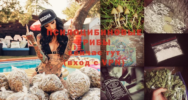 метадон Рославль