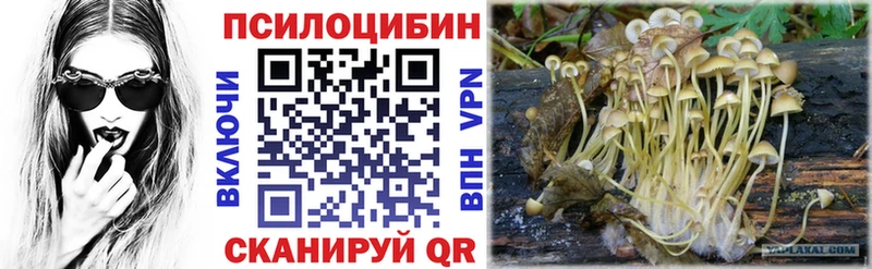 магазин продажи   Островной  Галлюциногенные грибы ЛСД 